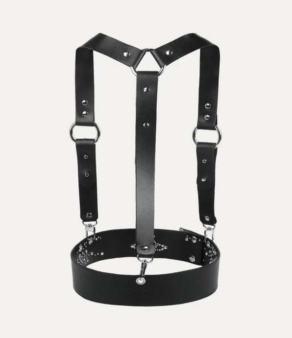 Harness